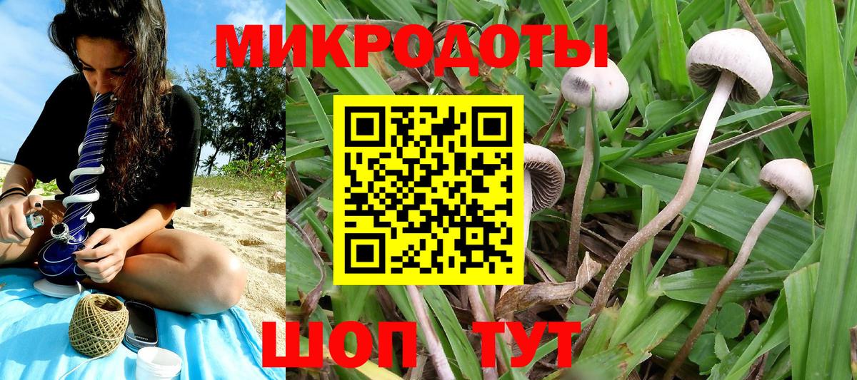 Приморско-Ахтарск  Псилоцибиновые грибы Psilocybine cubensis  Вход с VPN 