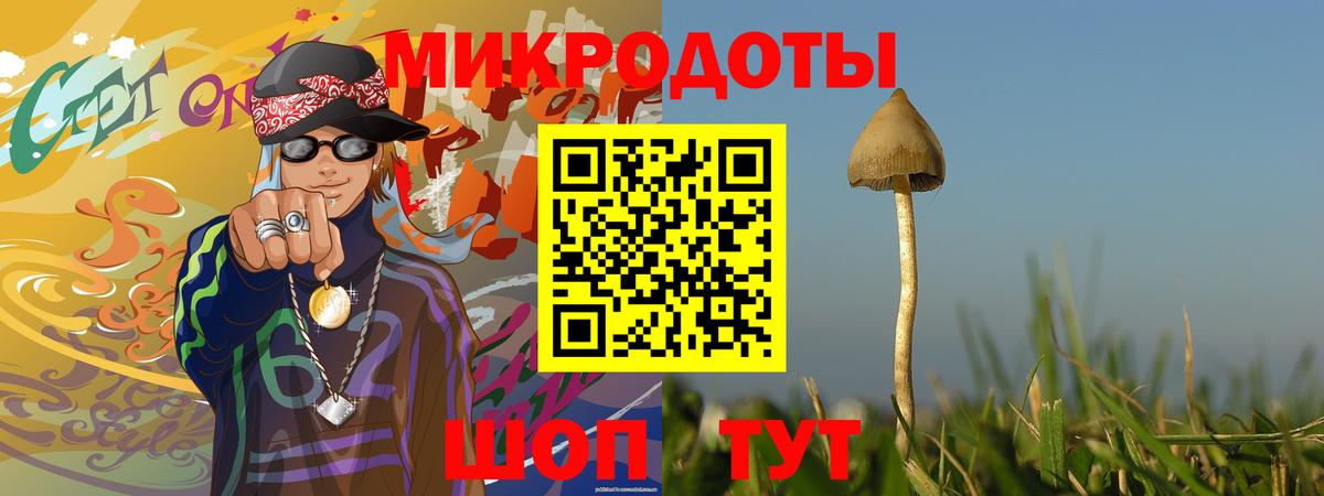 Галлюциногенные грибы прущие грибы Приморско-Ахтарск